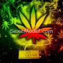 Alain_gera