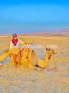 Annonce Laira DOMINATRIX 