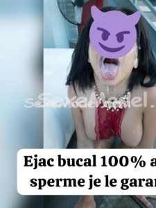 Annonce Chienne au lit chaude