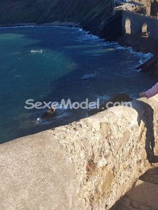 Ads NOUVELLE HAGUENAU