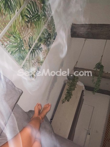 Annonce kamdeplaplanvoiture