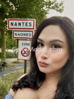 TRANS APPART BEAUJOIRE