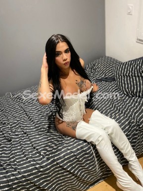 Ads Lavinya Chienne., Lille